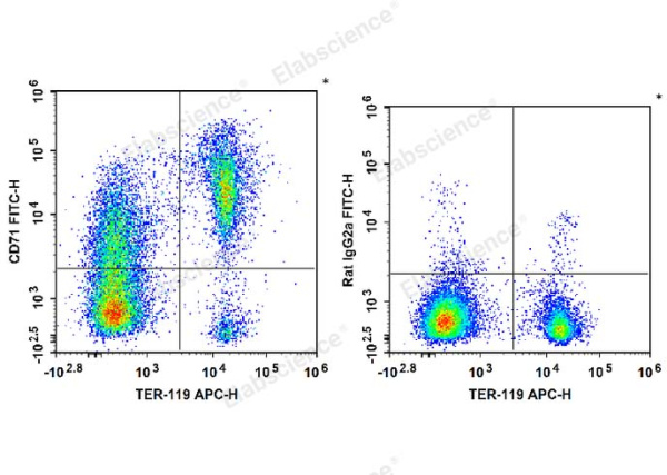 FITC Anti-Mouse CD71 Antibody[R17 217.1.3/TIB-219] (E-AB-F1093UC)