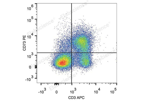 PE Anti-Mouse CD73 Antibody[TY/23] (E-AB-F1089D)