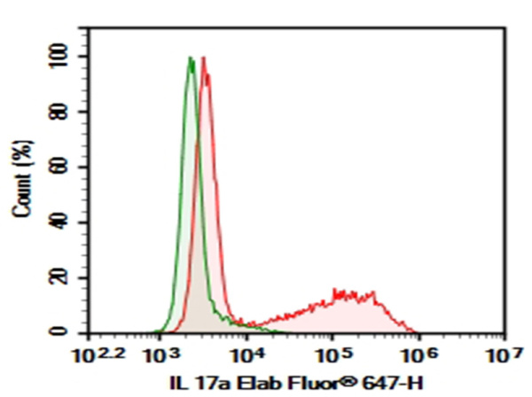 Purified Anti-Mouse IL-17A Antibody[17F3] (E-AB-F1272A)