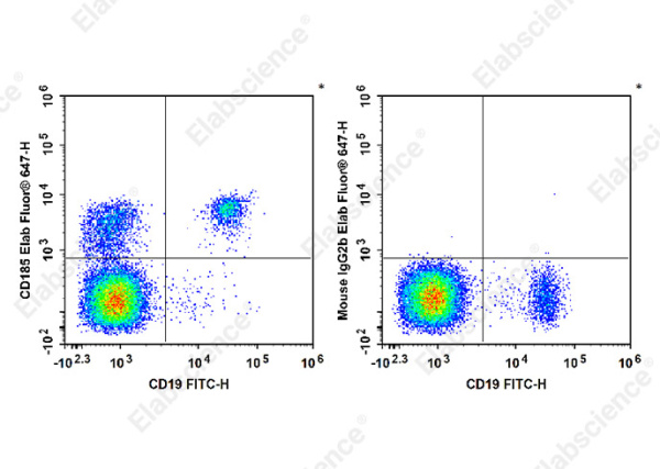 Elab Fluor® 647 Anti-Human CD185 Antibody[MU5UBEE] (E-AB-F1416M)