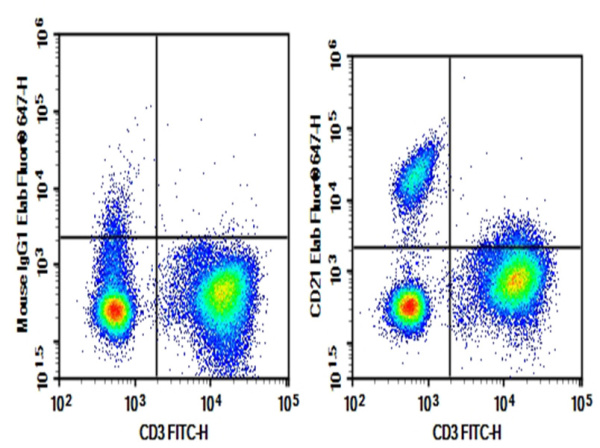 Purified Anti-Human CD21 Antibody[BU32] (E-AB-F1046A)