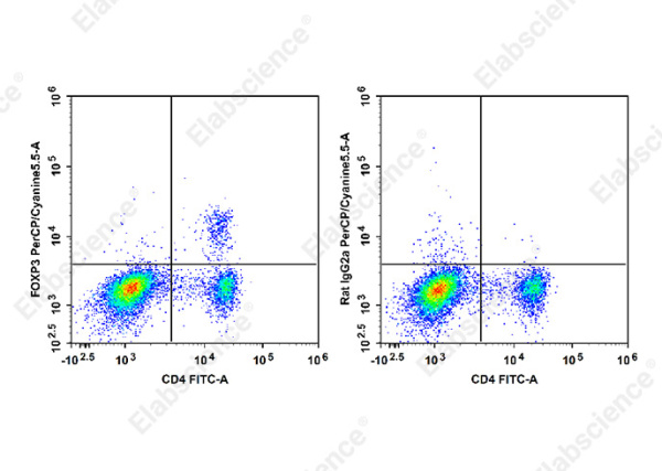 PerCP/Cyanine5.5 Anti-Mouse/Rat Foxp3 Antibody[FJK-16s] (E-AB-F1351UJ)