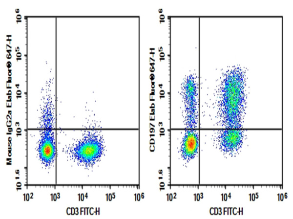 Purified Anti-Human CD197 Antibody[G043H7] (E-AB-F11590P)