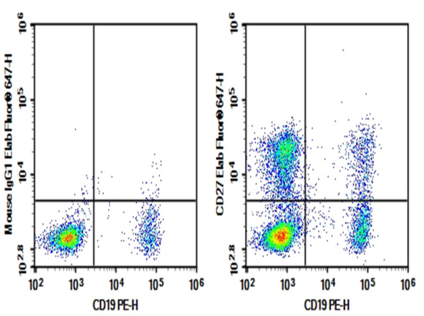 Purified Anti-Human CD27 Antibody[O323] (E-AB-F11400P)
