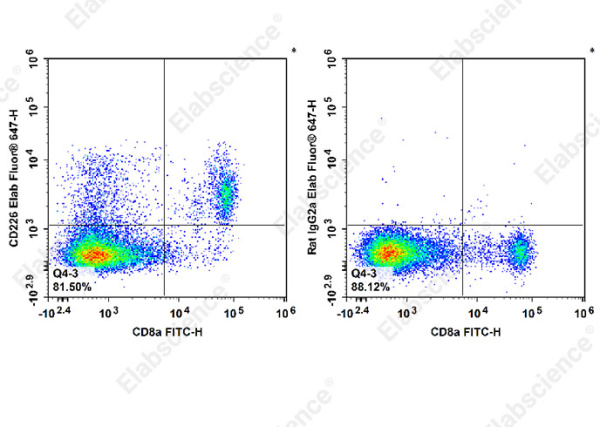Elab Fluor® 647 Anti-Mouse CD226 Antibody[480.1] (E-AB-F1419M)