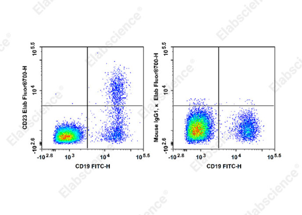 Elab Fluor® 700 Anti-Human CD23 Antibody[EBVCS2] (E-AB-F1382M1)