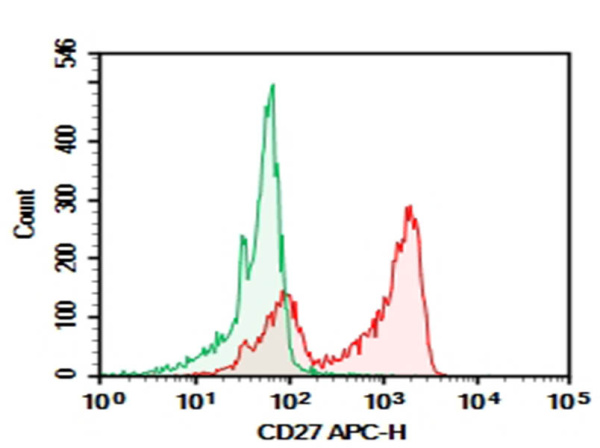 Purified Anti-Human CD27 Antibody[HIBQ27-1] (AN009420P)