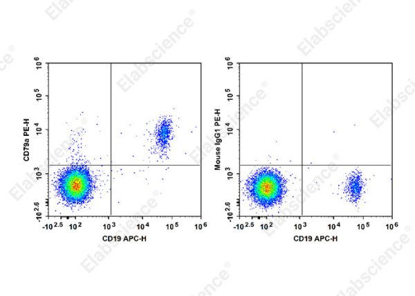 PE Anti-Human CD79a Antibody[HM47] (E-AB-F1370D)
