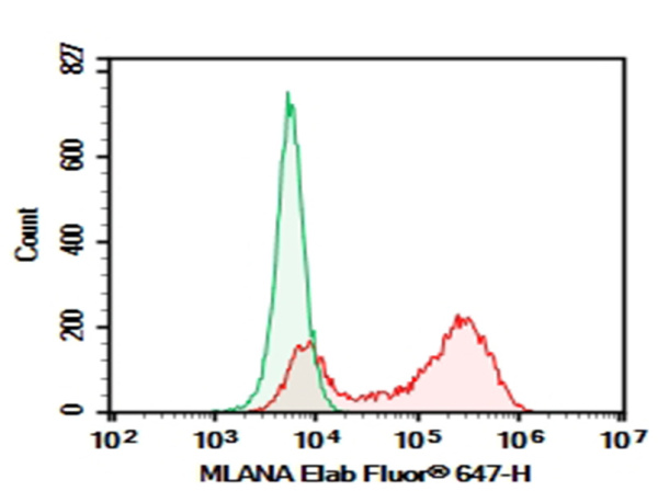 Purified Anti-Human MLANA Antibody[A103] (AN007810P)