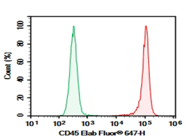 Purified Anti-Rat CD45 Antibody[OX-1] (E-AB-F1227A)