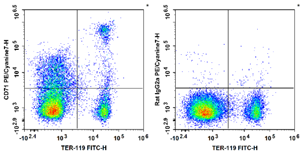 PE/Cyanine7 Anti-Mouse CD71 Antibody[R17 217.1.3/TIB-219] (E-AB-F1093H)