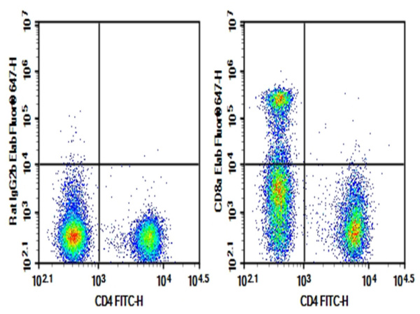 Purified Anti-Mouse CD8a Antibody[YTS169.4] (AN004080P)