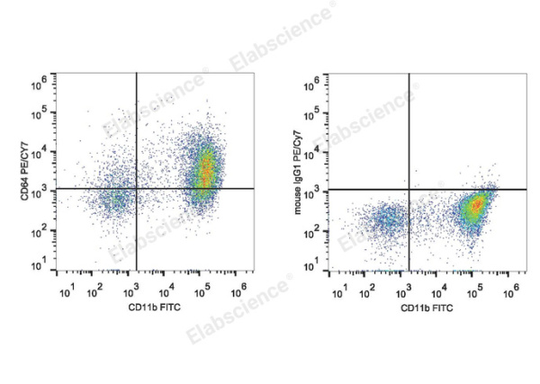 PE/Cyanine7 Anti-Mouse CD64/FcγRI Antibody[X54-5/7.1] (E-AB-F1186H)