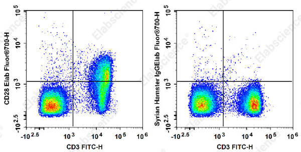 Elab Fluor® 700 Anti-Mouse CD28 Antibody[37.51] (E-AB-F1026M1)