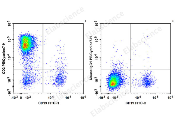 PE/Cyanine7 Anti-Human CD2 Antibody[RPA-2.10] (E-AB-F1375H)