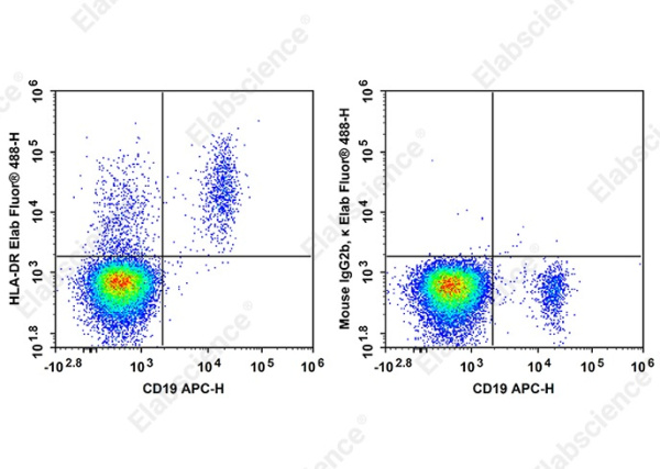 Elab Fluor®488 Anti-Human HLA-DR Antibody[Tü36] (AN00994L)