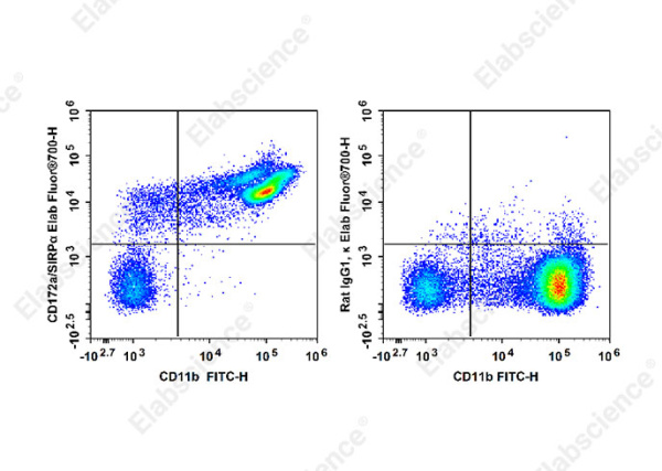 Elab Fluor® 700 Anti-Mouse CD172a/SIRPα Antibody[P84] (E-AB-F1286M1)