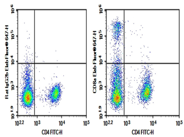 Purified Anti-Mouse CD8a Antibody[YTS 105.18] (AN003310P)