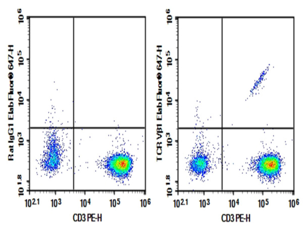 Purified Anti-Human TCRVβ1 Antibody[BL37.2] (AN003710P)