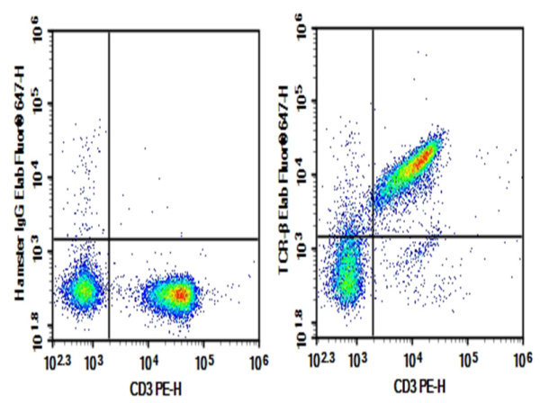 AF/LE Purified Anti-Mouse TCRβ Antibody[H57-597] (E-AB-F11230)