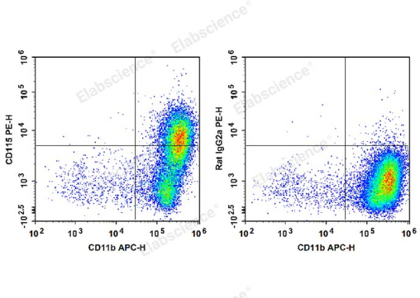 PE Anti-Mouse CD115/CSF-1R Antibody[AFS98] (E-AB-F1107UD)