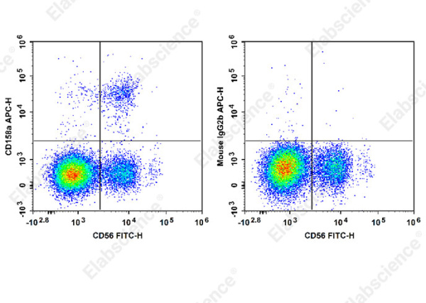 APC Anti-Human CD158/KIR2DL1 Antibody[HP-MA4] (E-AB-F1391E)