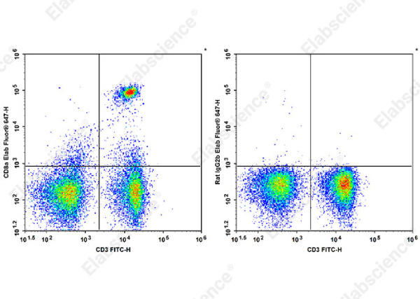 Elab Fluor® 647 Anti-Mouse CD8a Antibody[YTS 105.18] (AN00331M)