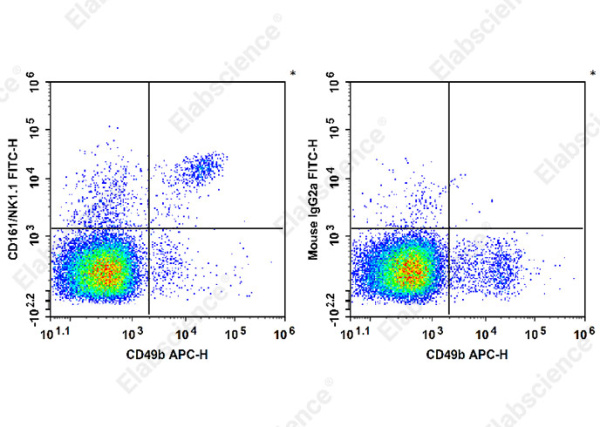 FITC Anti-Mouse CD161/NK1.1 Antibody[PK136] (E-AB-F0987C)