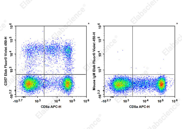 Elab Fluor® Violet 450 Anti-Human CD57 Antibody[HNK-1] (E-AB-F1067Q)