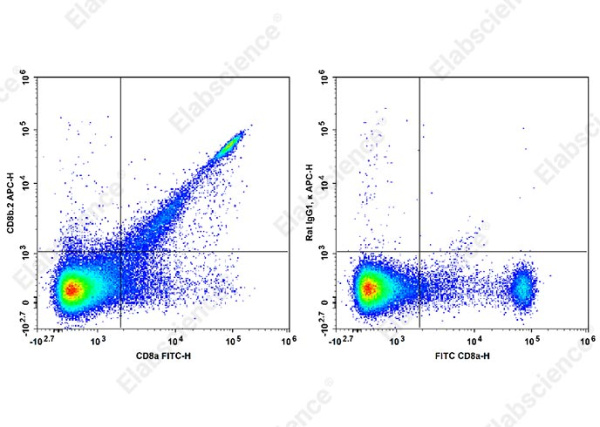 APC Anti-Mouse CD8b.2 Antibody[53-5.8] (AN00564E)