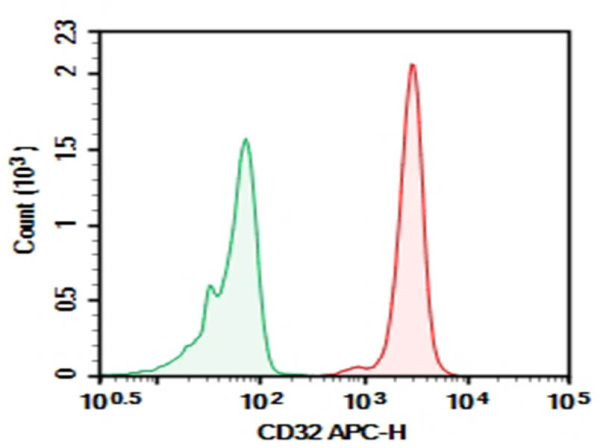 Purified Anti-Human CD32 Antibody[FUN-2] (AN009310P)