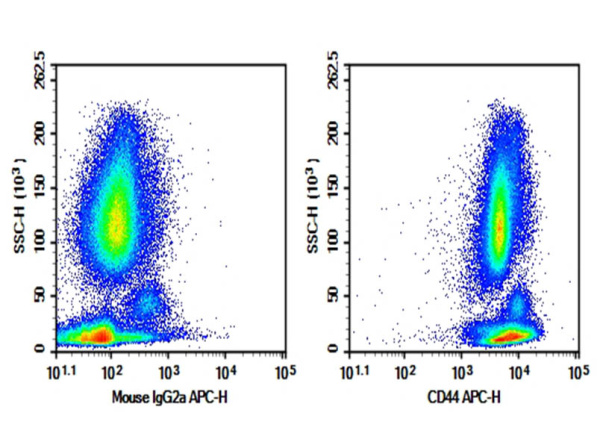 Purified Anti-Human CD44 Antibody[HI44a] (AN003350P)
