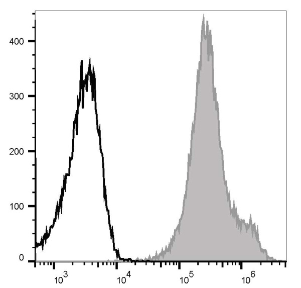 PE Anti-Human CD44 Antibody[P2A1] (E-AB-F1038D)