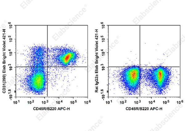 Elab Bright™ Violet 421 Anti-Mouse CD31 Antibody[390] (E-AB-F1180Q2)