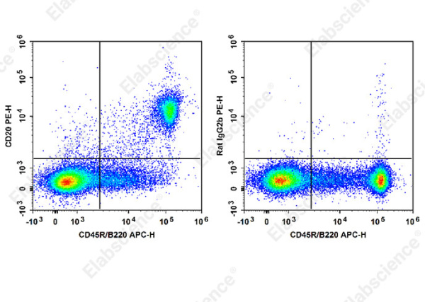 PE Anti-Mouse CD20 Antibody[SA271G2] (E-AB-F1403D)