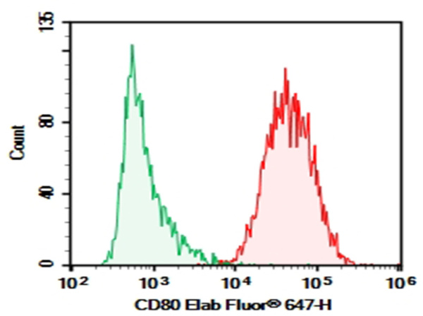Purified Anti-Human CD80 Antibody[2D10] (E-AB-F12320P)