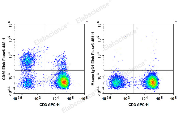 Elab Fluor® 488 Anti-Human CD56/NCAM Antibody[MY31] (E-AB-F1270L)