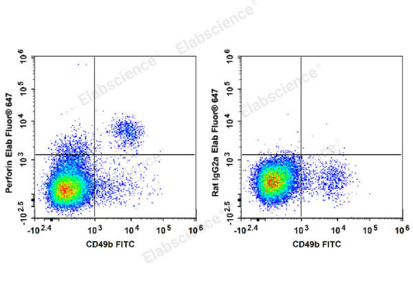 Elab Fluor® 647 Anti-Mouse Perforin Antibody[S16009A] (E-AB-F1294M)
