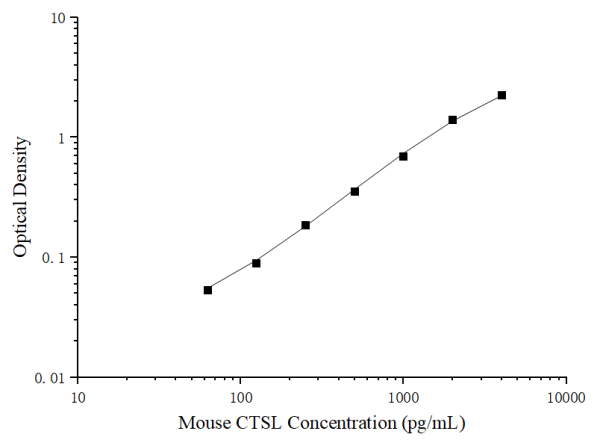 Uncoated Mouse CTSL (Cathepsin L) ELISA Kit (E-UNEL-M0154)