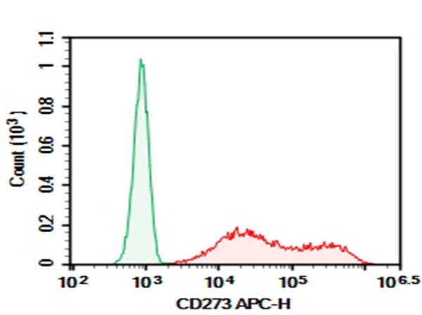 Purified Anti-Human CD273 Antibody[HIQB273-1] (AN008620P)