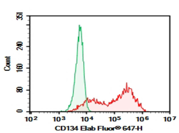 Purified Anti-Human CD134 Antibody[Ber-ACT35] (E-AB-F1153A)