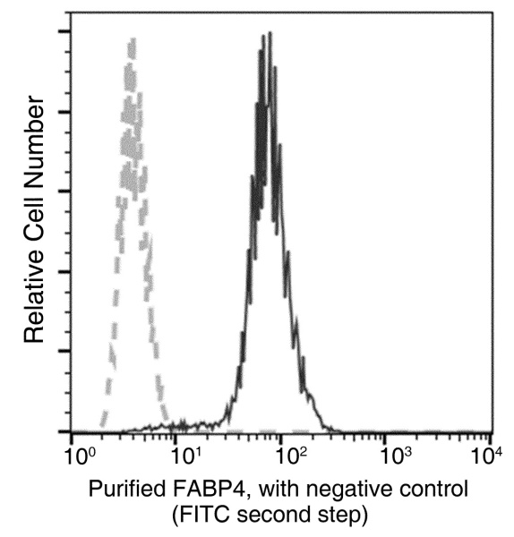 Recombinant FABP4/ALBP/A-FABP Monoclonal Antibody (AN300248P)