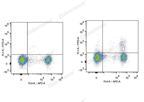 Elab Fluor® 488 Anti-Mouse CD25 Antibody[PC-61.5.3] (E-AB-F1102L)