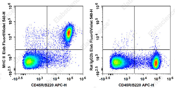 Elab Fluor® Violet 540 Anti-Mouse MHC II (I-A/I-E) Antibody[M5/114] (E-AB-F0990UT3)