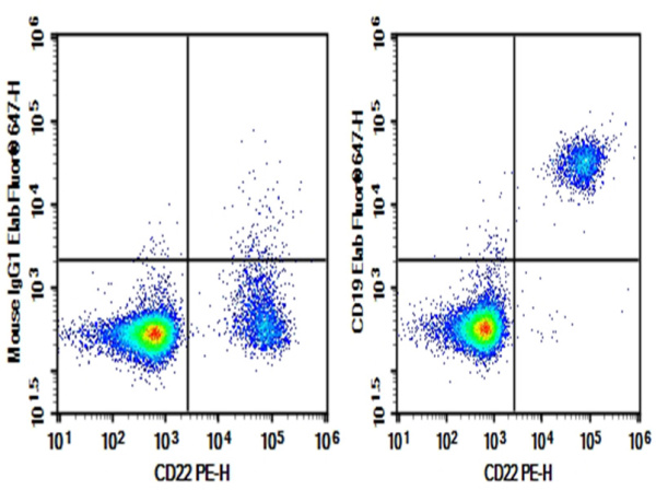 Purified Anti-Human/Monkey CD19 Antibody[CB19] (E-AB-F10040P)