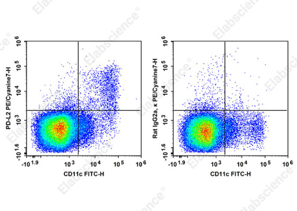 PE/Cyanine7 Anti-Mouse PD-L2 Antibody[TY25] (AN00849H)