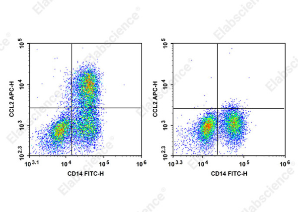 APC Anti-Human CCL2 Antibody[2H5] (AN00841E)