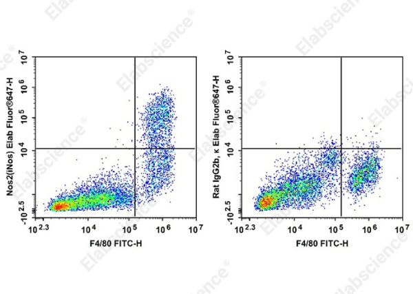 Elab Fluor®647 Anti-Mouse Nos2(iNos) Antibody[W16030C] (AN00993M)