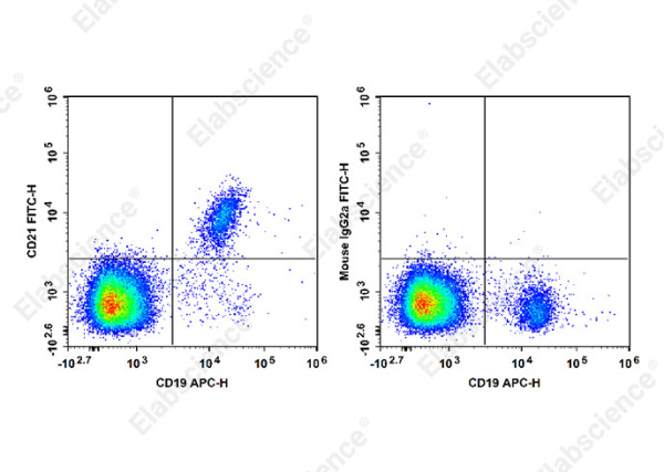 FITC Anti-Human CD21 Antibody[HI21a] (E-AB-F1320C)