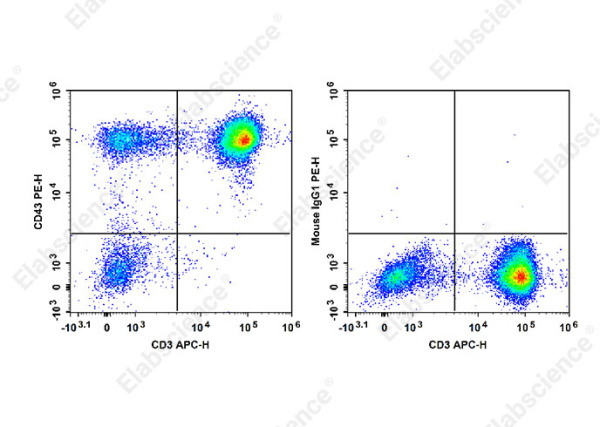PE Anti-Human CD43 Antibody[HI161] (E-AB-F1328D)